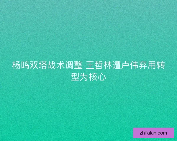 杨鸣双塔战术调整 王哲林遭卢伟弃用转型为核心