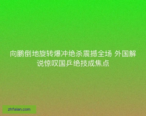 向鹏倒地旋转爆冲绝杀震撼全场 外国解说惊叹国乒绝技成焦点